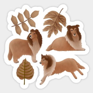 Rough Collie playing with the leaves Sticker